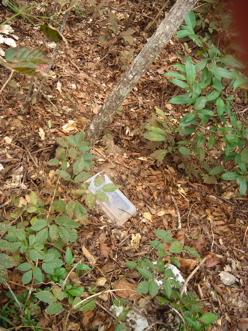 dsc00549.jpg
